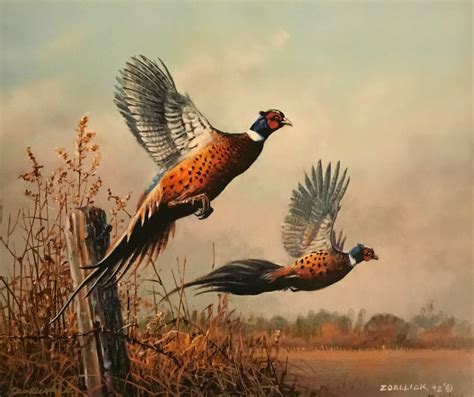 Scott Zoellick Flying Colors S/N Pheasant Farm Art Print ...