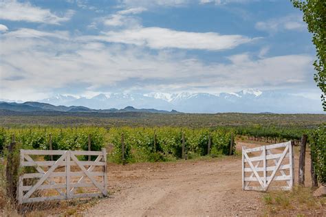 Uco Valley Best of Malbec Wine Tasting Tour - Kated