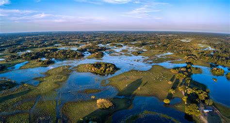 Domínio morfoclimático do pantanal - Geografia - InfoEscola