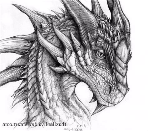 realistic dragon head drawing | Realistic dragon, Dragon head drawing ...