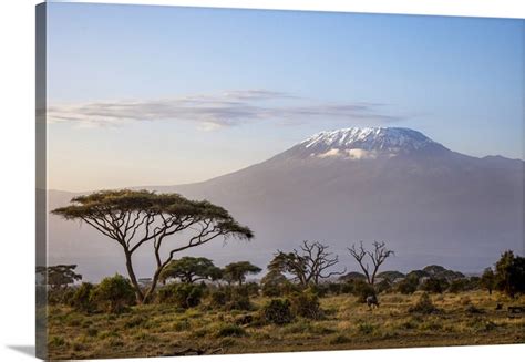 Mount Kilimanjaro, Amboseli National Park, Kenya Wall Art, Canvas ...