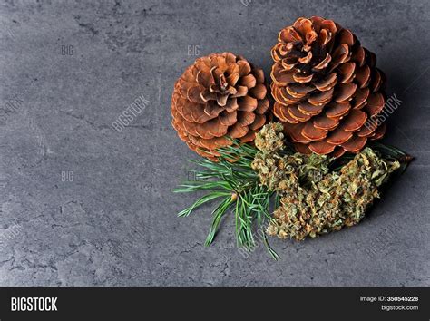 Cannabis Nug / Bud Image & Photo (Free Trial) | Bigstock