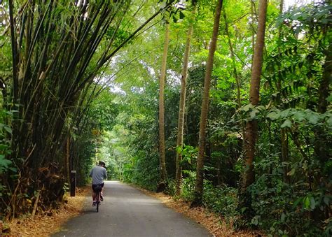 Ride Bikes on Pulau Ubin in Singapore 2024-2025 - Rove.me