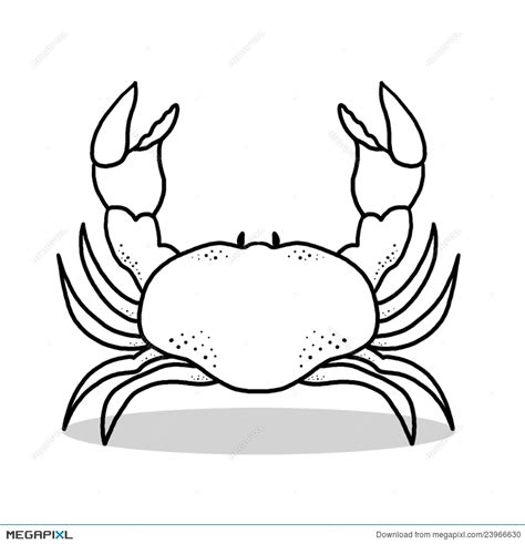 Crab Outline Drawing at GetDrawings | Free download