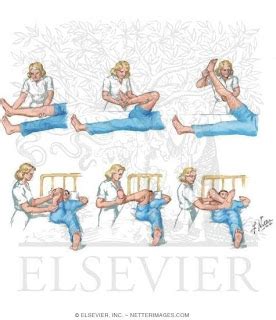 physiotherapy: How to Do Exercises for Stroke Victims