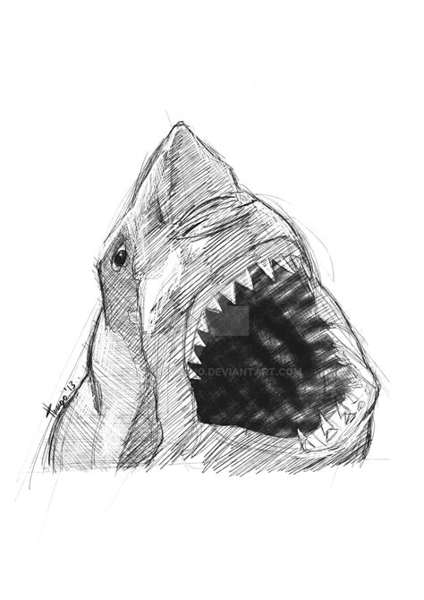 Shark Sketch by TgCarvalho on DeviantArt