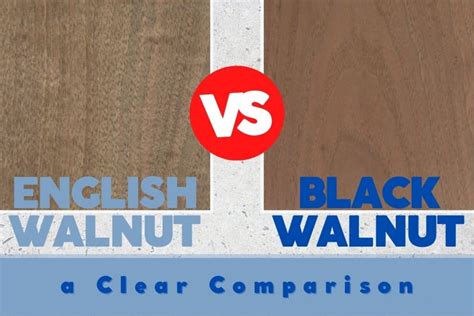 English Walnut Vs Black Walnut Wood - A Clear Comparison