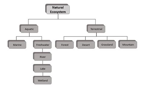 Definition Of Global Ecosystem In Geography