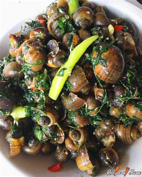 Ginataang Kuhol Recipe (Snails in Coconut Milk) - Recipe Ni Juan Snails Recipe, Coconut Milk ...