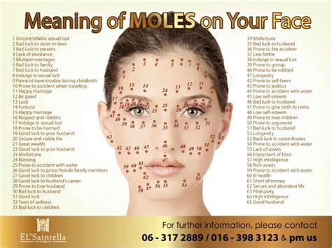 Meaning of every mole on your face. | Moles on face, Mole, Face reading