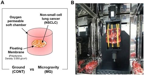 System configuration of simulated microgravity with a floating ...