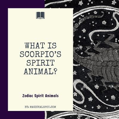 What is Scorpio’s Spirit Animal? [Zodiac Series]