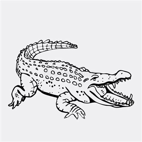 Hand-drawn Pencil Graphics, Crocodile, Alligator, Croc. Engraving, Stencil Style Stock Vector ...