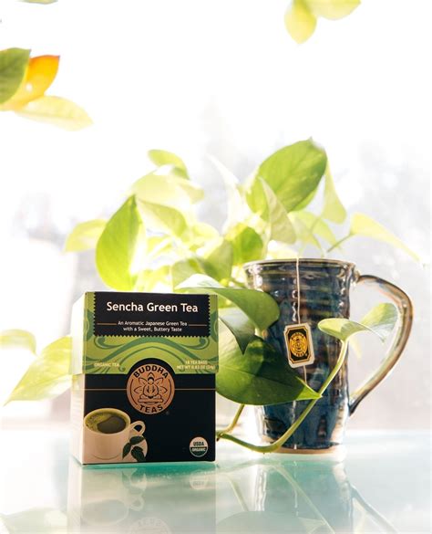 Organic Green Tea 101 — Benefits And Best Brands To Try