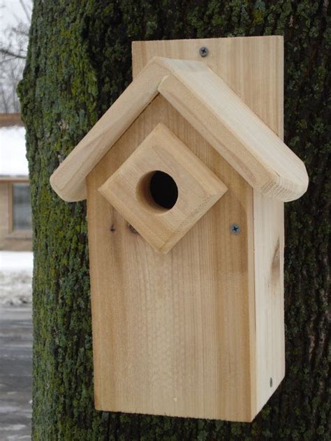 Cedar White Breasted Nuthatch Bird House by nestboxbyspecies, $42.00 ...