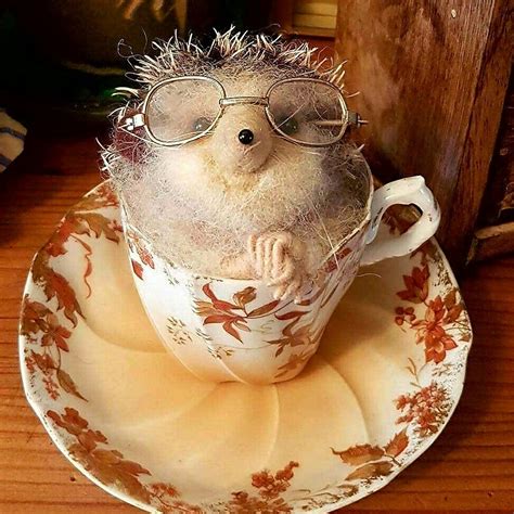 Hedgehog in teacup by Eileen Williams of Littlecrafts Needle Felting | Tea cups, Needle felting ...