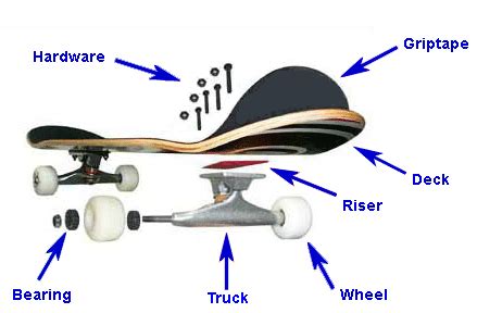 StoreYourBoard Blog: Skateboard Parts | Anatomy 101: The Skateboard and ...