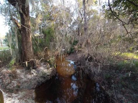 Best Hikes and Trails in Boyette Springs Park | AllTrails