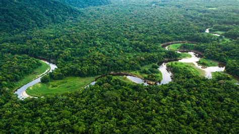 Visiting Brazil's Amazon rainforest | CN Traveller