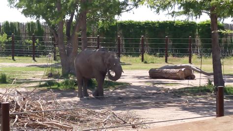 Sedgwick County Zoo Wichita, KS (81) - No Home Just Roam