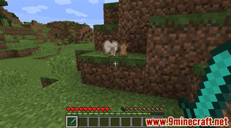 Rabbit Hide - Wiki Guide - 9Minecraft.Net