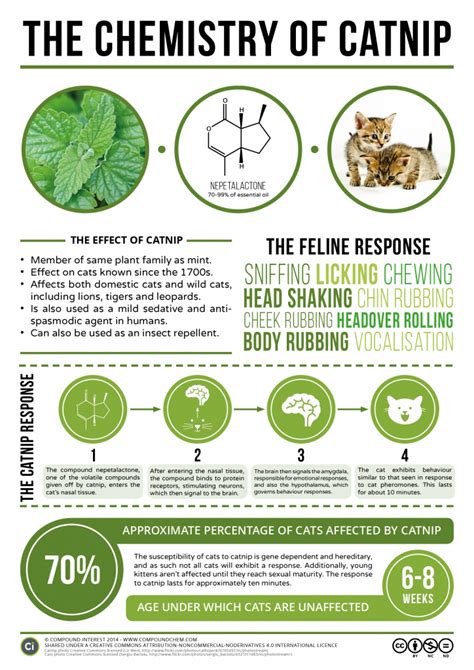 Compound Interest - The Chemical Behind Catnip’s Effect on Cats