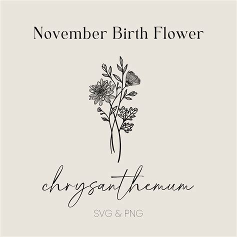 November Birth Flower SVG PNG Chrysanthemum Flower File Digital ...