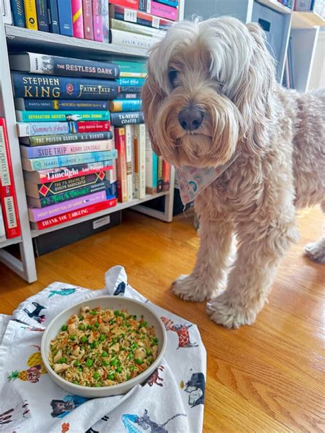 Chicken and Rice for Dogs Recipe - We are not Martha