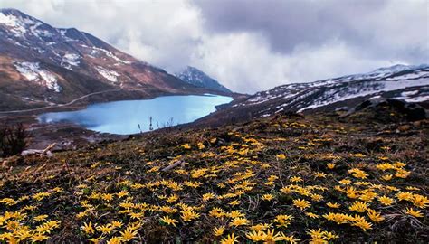 10 Famous Tourist Festivals in Sikkim 2023