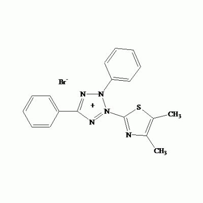 MTT Cell Viability Assay Kit - Biotium