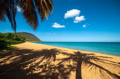 The Most beautiful beaches in Guadeloupe Islands | The Islands of Guadeloupe