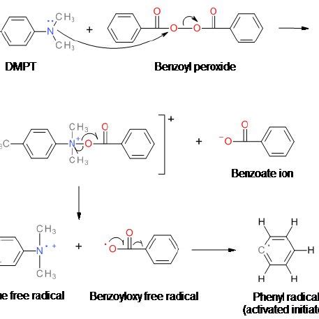 Addition polymerization of PMMA initiated by a phenyl radical. | Download Scientific Diagram