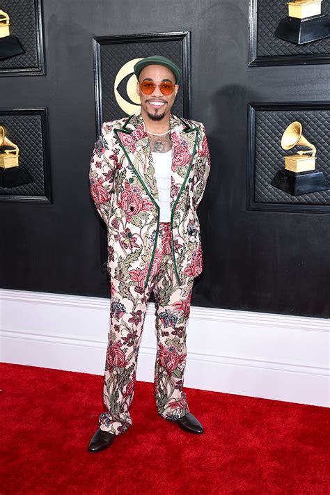 Grammys 2023 Red Carpet Arrivals (Photos)