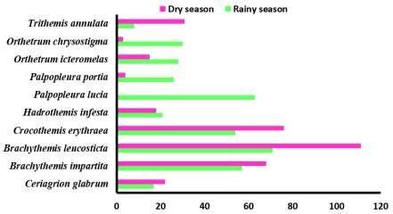 Seasonal variation of the main species according to their abundance ...