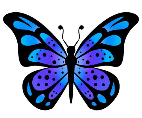 Clipart Butterfly 3 Free Stock Photo - Public Domain Pictures