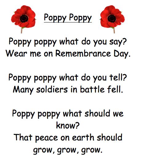 Poppy Poppy Poem | Remembrance Day Poem Pictures