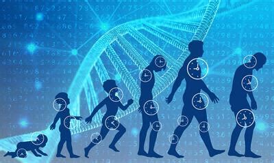 Frontiers in Genetics | Genetics of Aging