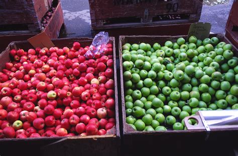 Red And Green Apples