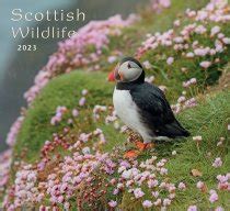 zz CL CB 2023 Scottish Wildlife (OP)