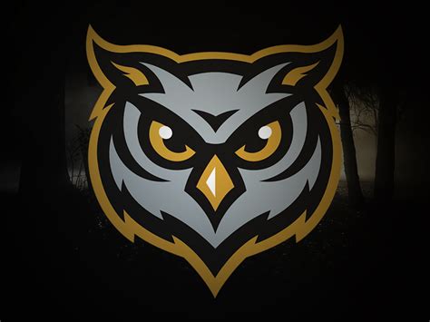 Owls | Animal logo, Logo design inspiration sports, Sports logo design