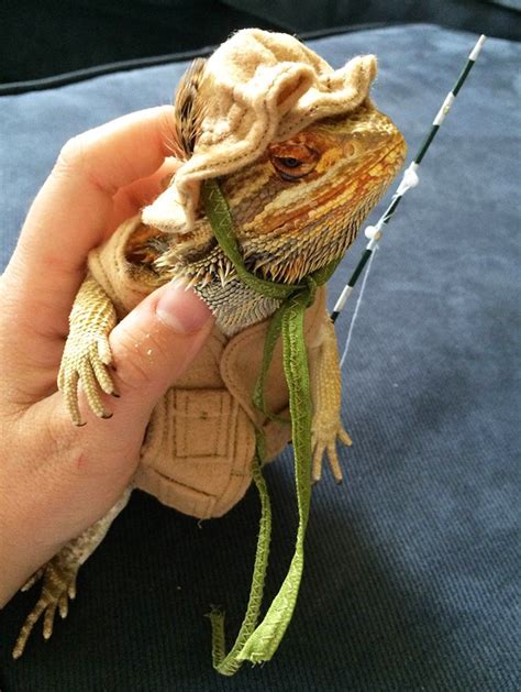 You Know What’s Gaining Popularity? Lizard Costumes.