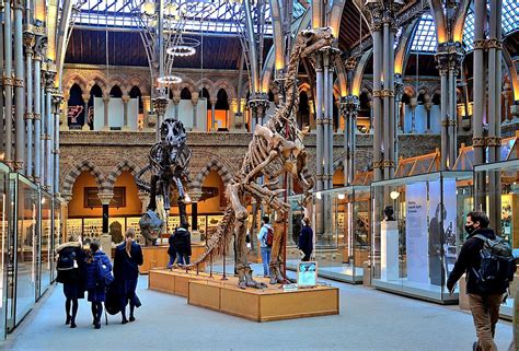 Oxford University Museum of Natural History. | Snapshooter46 | Flickr