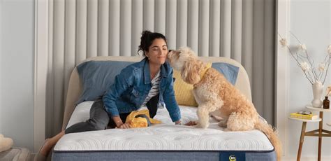 Serta Perfect Sleeper Supportive Mattress