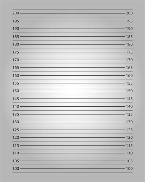 Police mugshot background with centimeters height chart and lighting ...