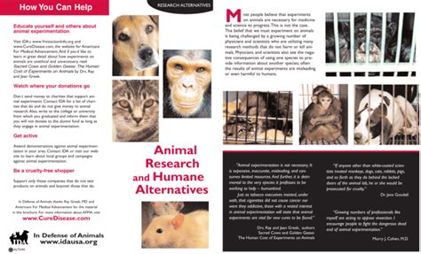 Animal Research Humane Alternatives