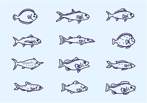 the different types of fish are drawn in blue ink on a light blue ...