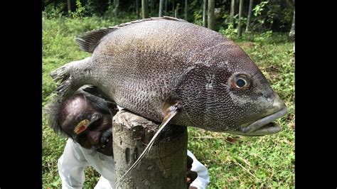 PEARL SPOT FISH fry prepared by my Daddy ARUMUGAM / BIG Full FISH Fry ...