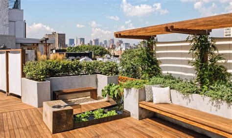 What is Rooftop Gardening: 32 Benefits of Roof Gardening | Vilee