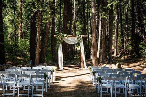 22 Forest Wedding Venues for Couples Who Love the Great Outdoors