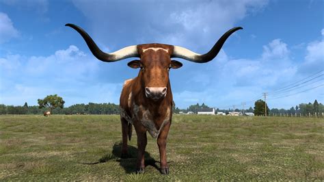 Texas Bull : r/trucksim